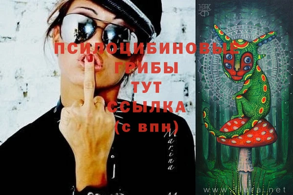 соль ск Богородицк