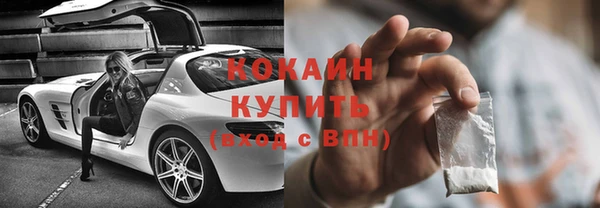 мяу мяу мука Бородино