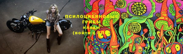 мяу мяу мука Бородино
