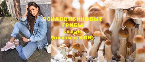 мяу мяу мука Бородино