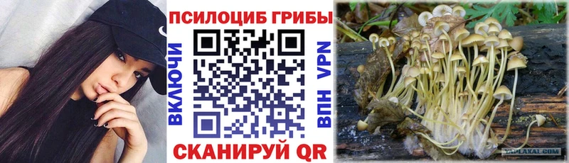 Псилоцибиновые грибы MAGIC MUSHROOMS Чудово